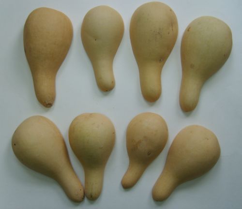 SAMPLE PRODUCT3